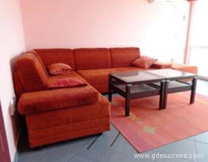 apartman, zasebne nastanitve v mestu Bar, Črna gora - dnevna soba